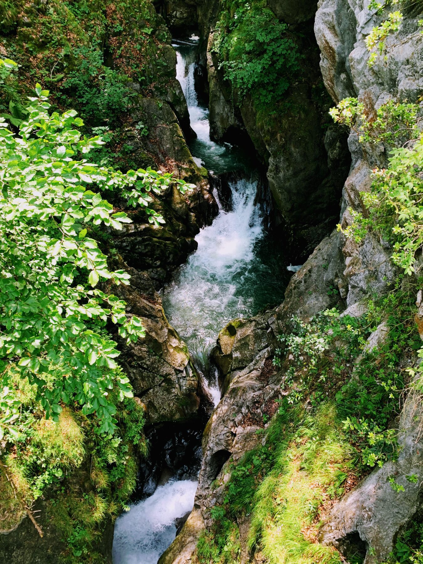 wanderung_trans_swiss_trail_beckenried_ruetli_
