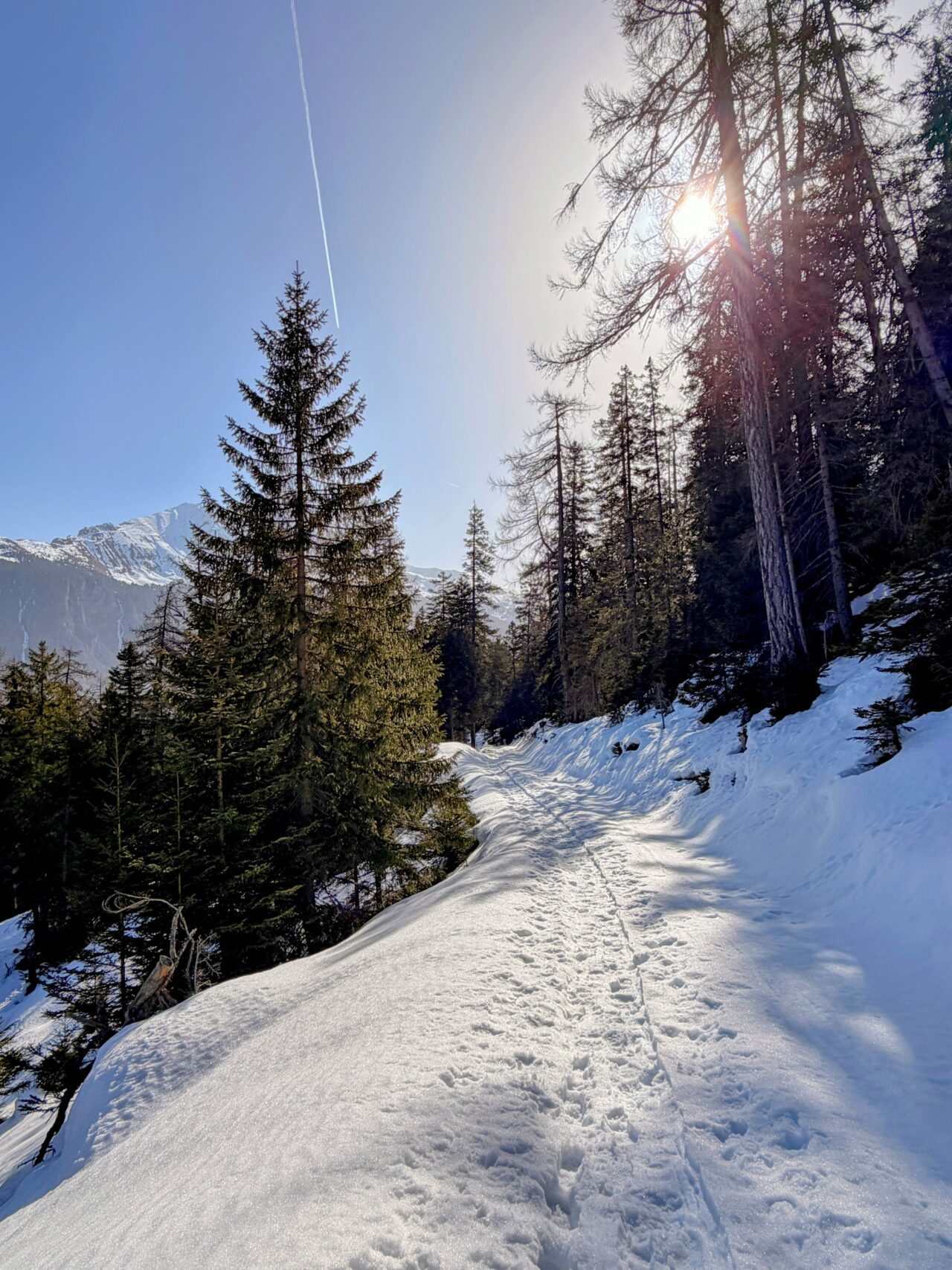 schneeschuhsafari_graubuenden_salouf_munter__IMG_0648