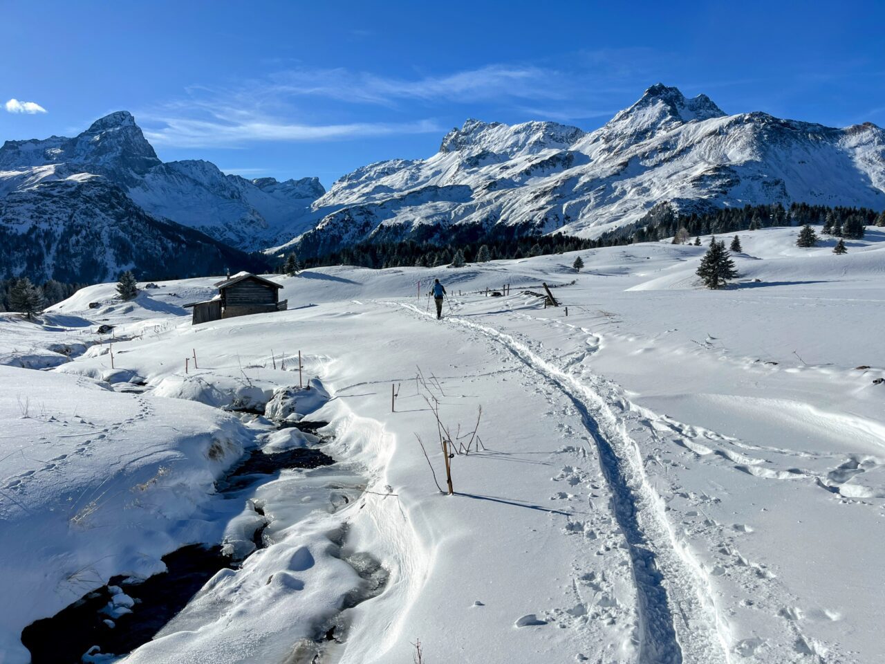 schneeschuhtour_alp_flix_573_schweizmobil__IMG_6292