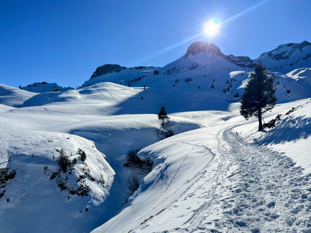 schneeschuhwanderung_wirzweli_arvitrail_chaelenhuette_