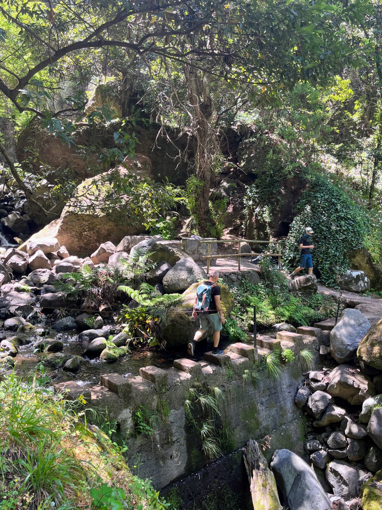 wanderung_levada_nova_levada_moinho_