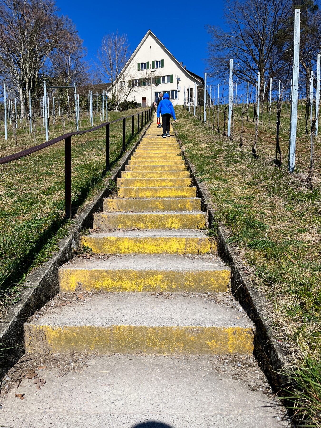 umrundung_zuerichsee_horgen_richterswil_