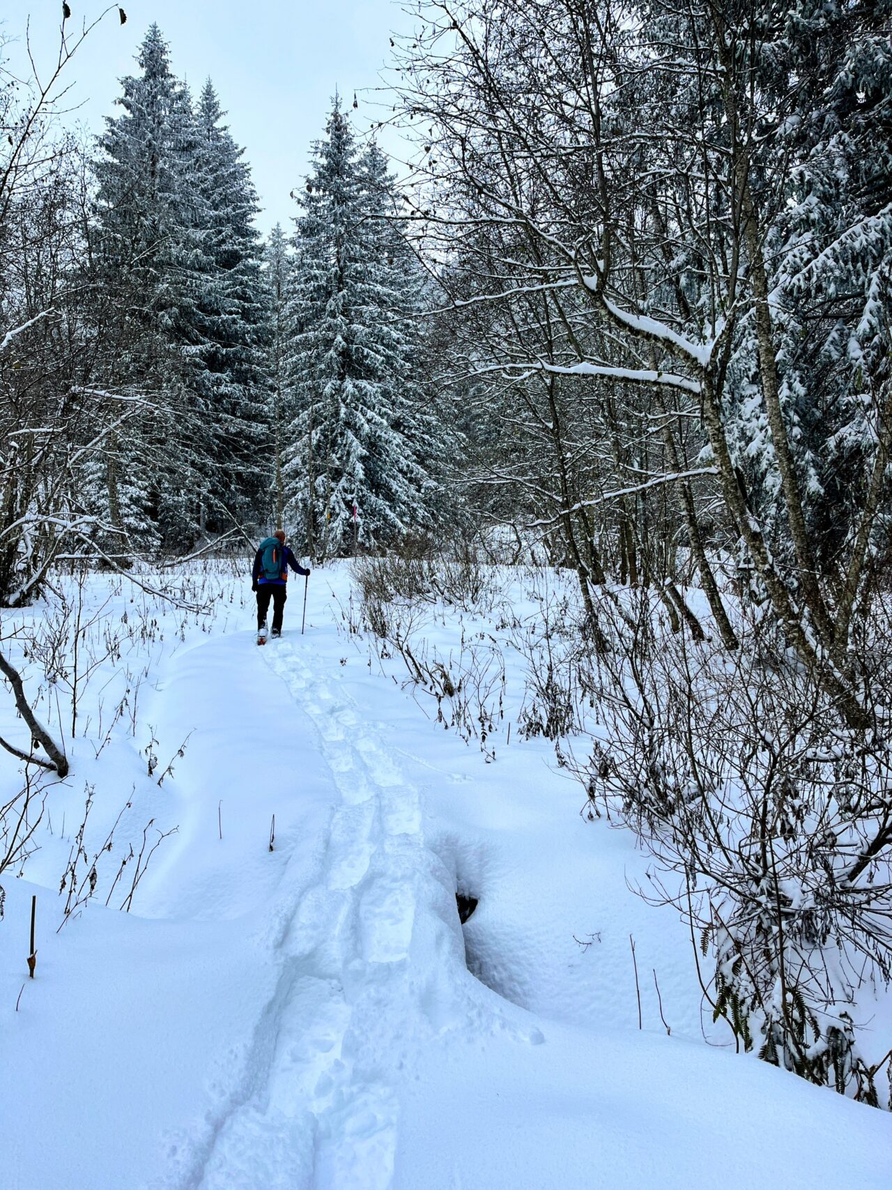 schneeschuhtour_biberegg_hochstuckli_haengebruecke__IMG_2119