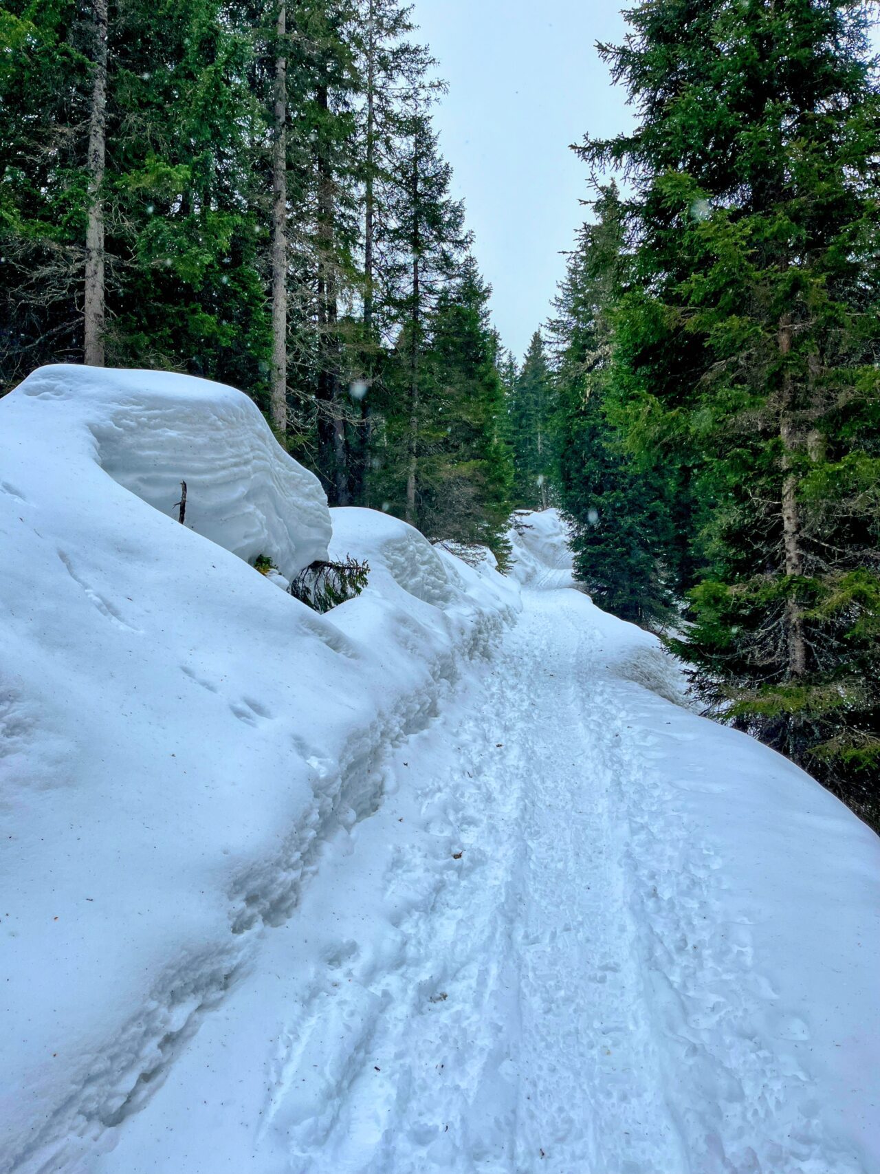 winterwanderung_und_schlitteln_lindauer_huette__IMG_4460