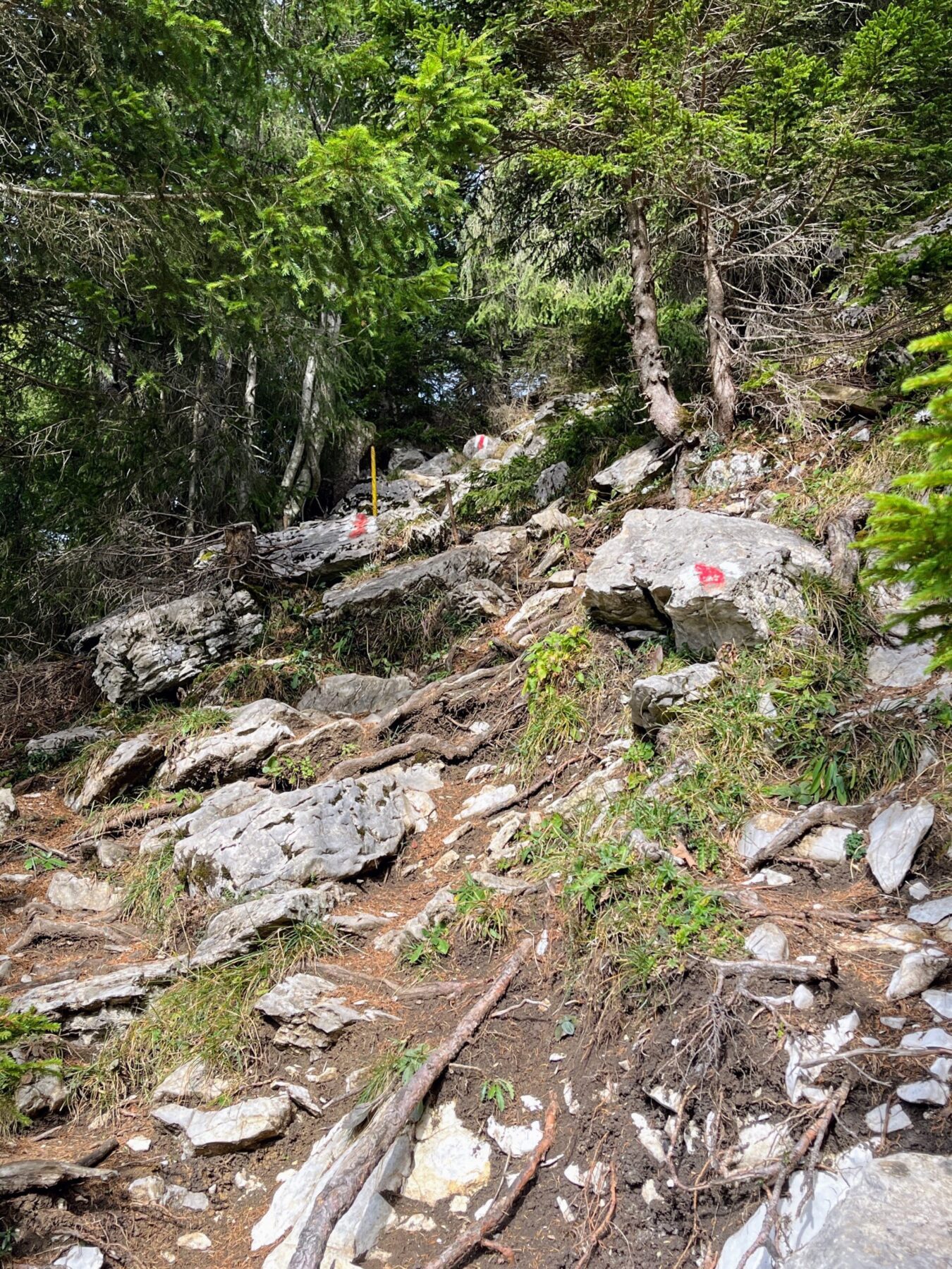 wanderung_waegitalersee_gross_aubrig_