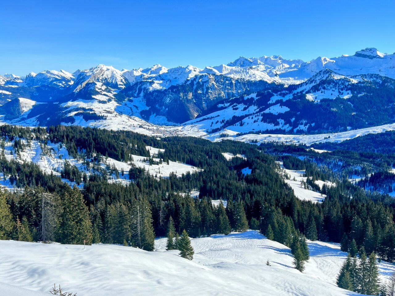 schneeschuhwanderung_oberiberg_furggelenstock__IMG_2794