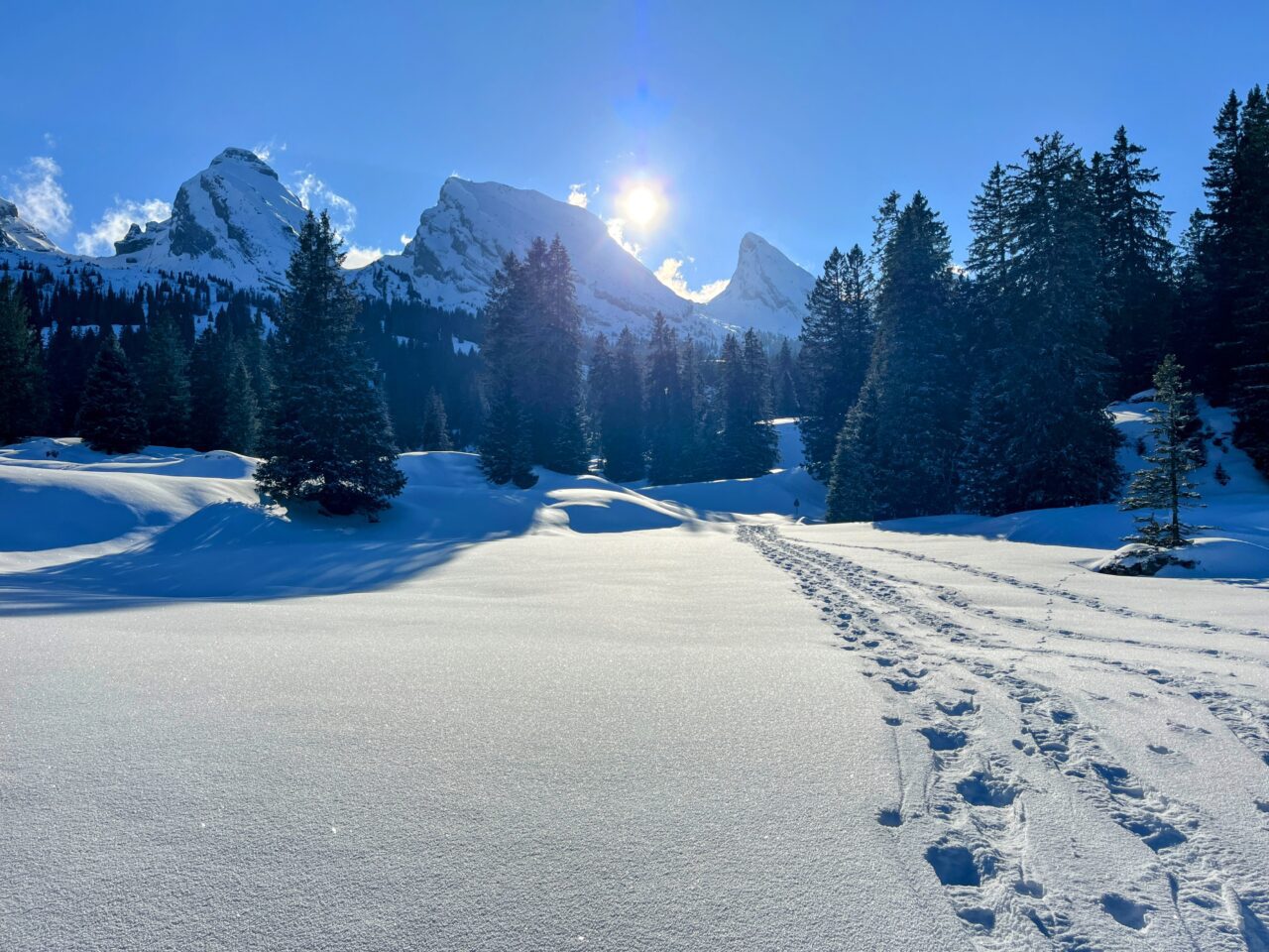 schneeschuhwandern_alp_sellamatt_fruemseltal__IMG_6737