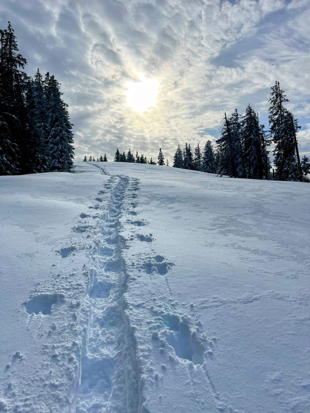 schneeschuhwanderung_rothenthurm-nüsselstock-brunni__IMG_5577