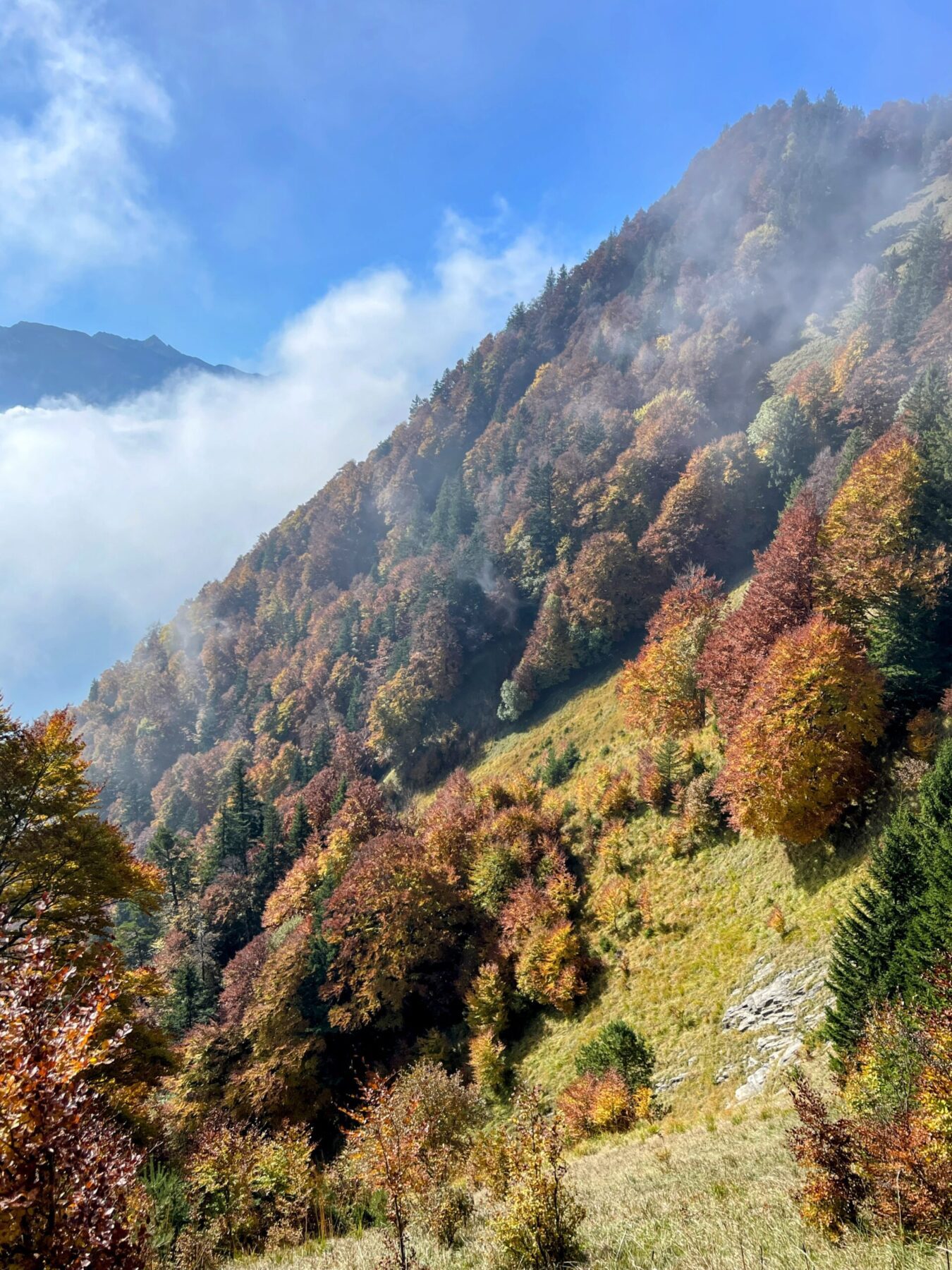 wanderung_rigi_hochflue_