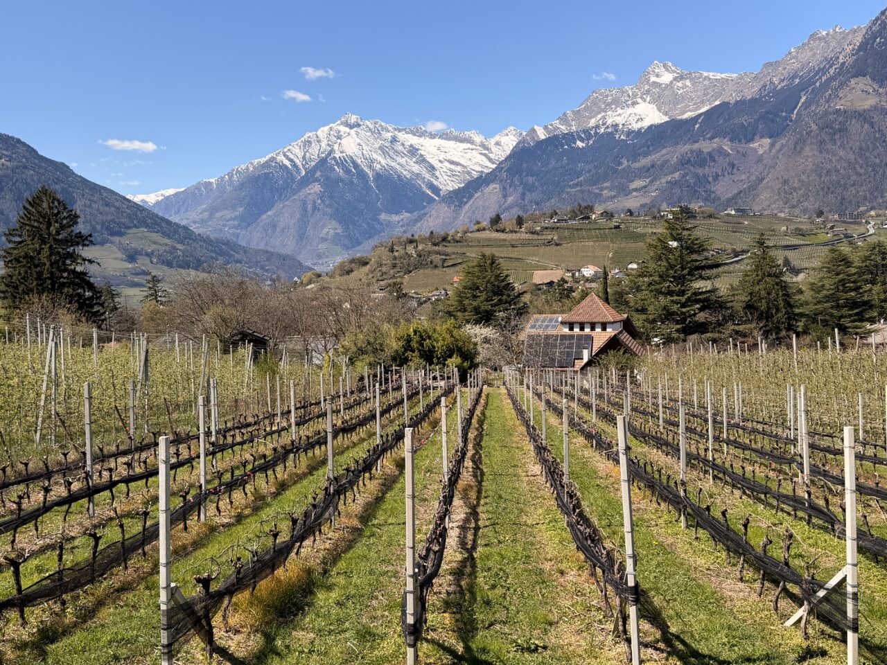 wanderung_maiser_waalweg_tappeinerweg_dorf_tirol_