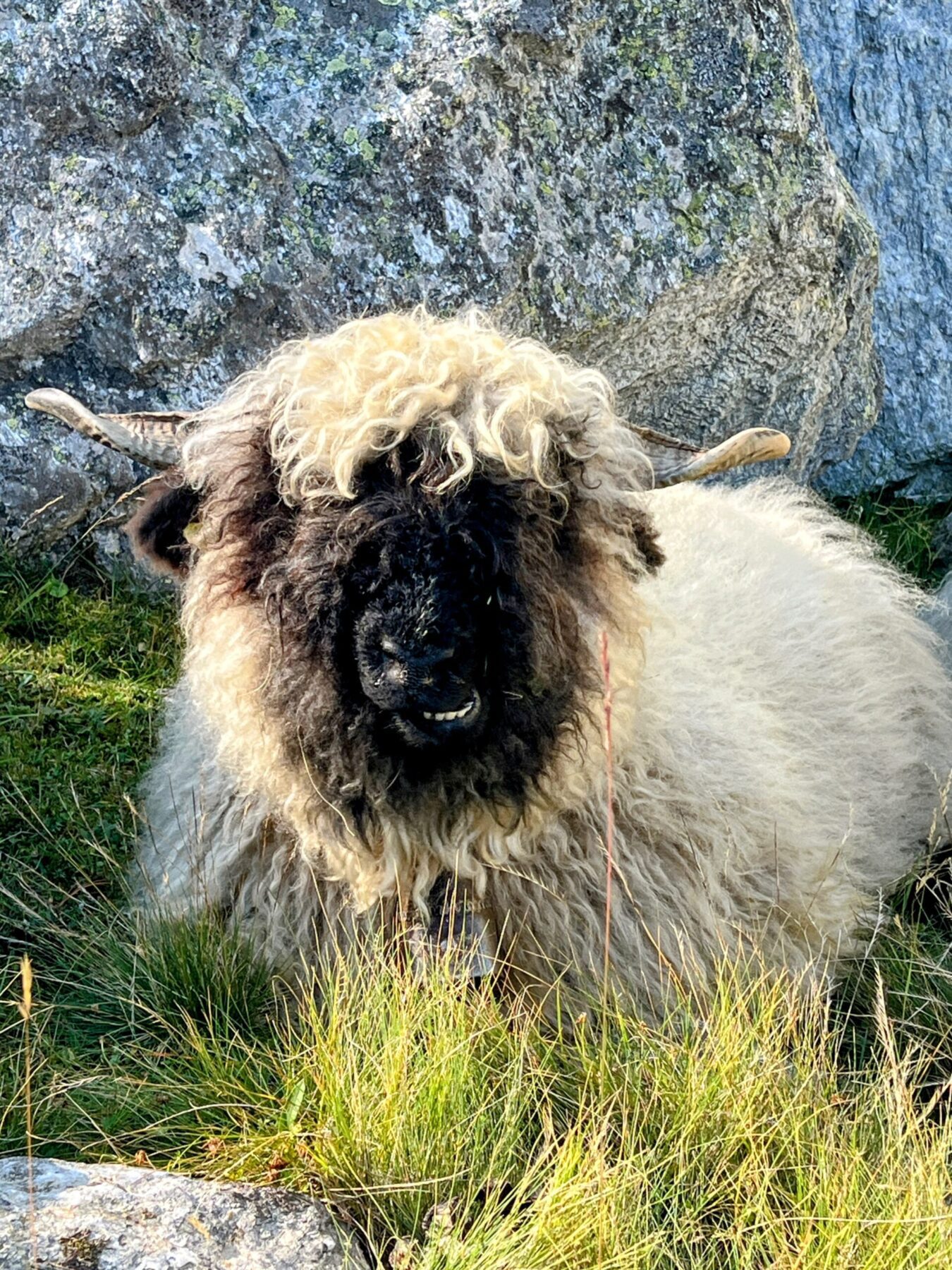 wanderung_bordierhütte_