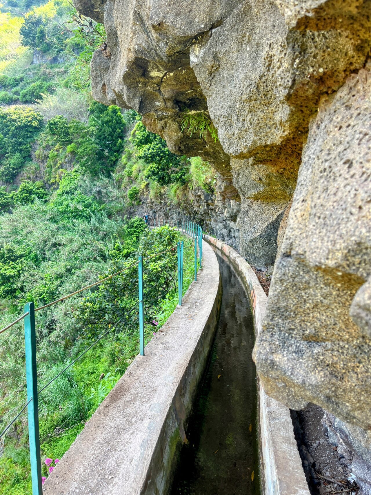 wanderung_levada_nova_levada_moinho_