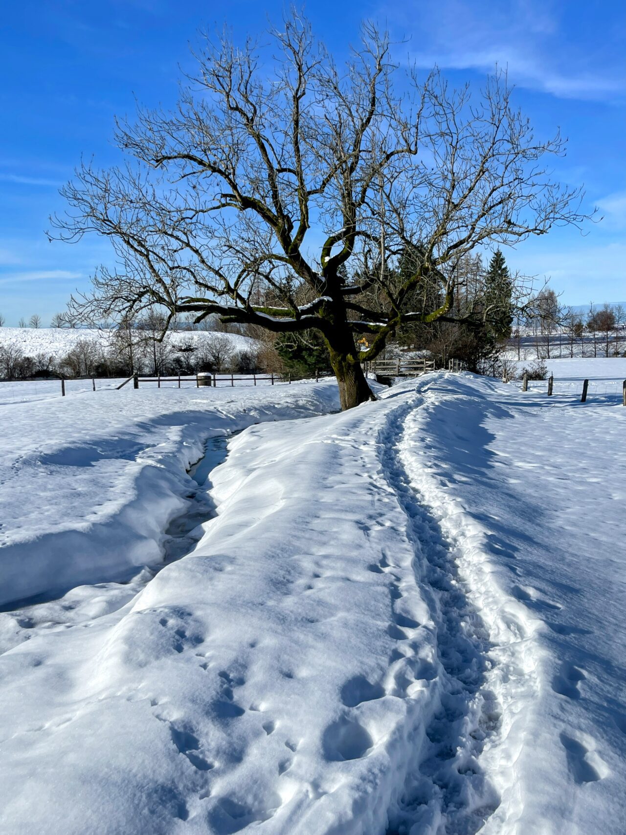 schneeschuhwanderung-seebodenalp-rigistaffel-rotstock-chaenzeli-_IMG_8148