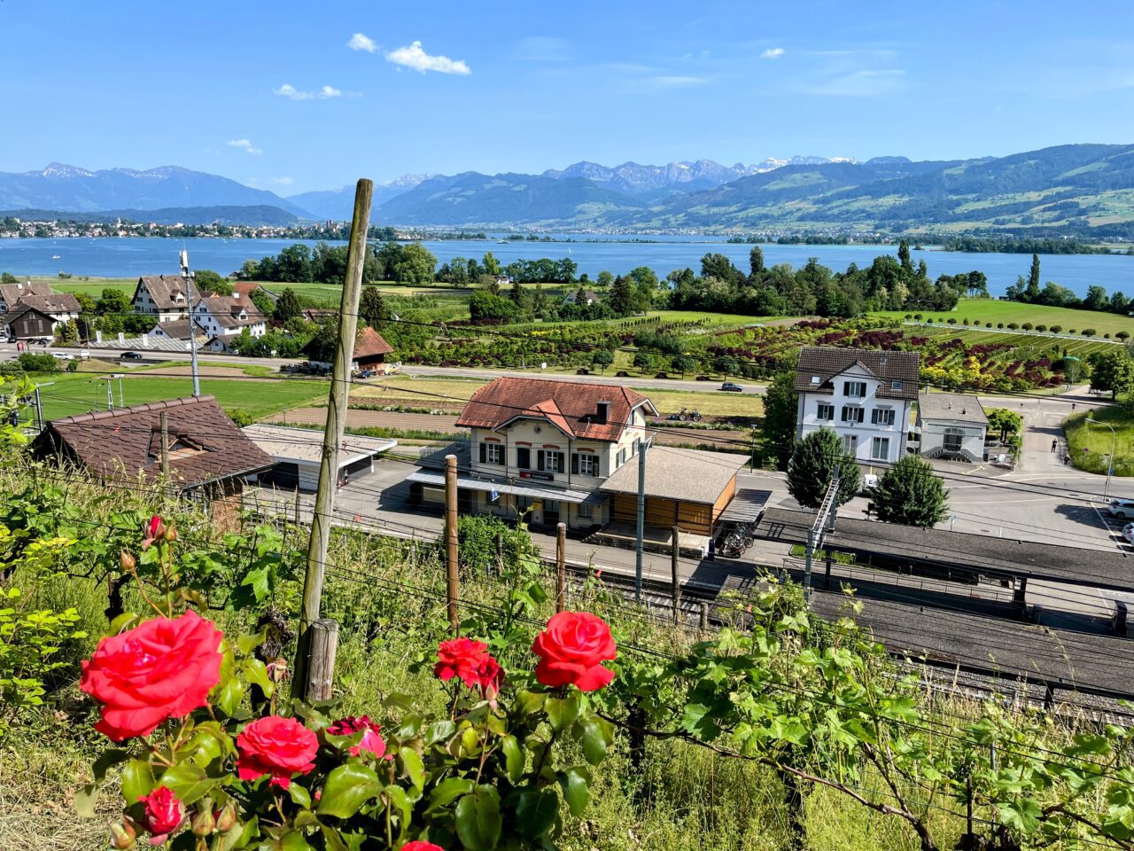 umrundung_zürichsee_schmerikon_stäfa_