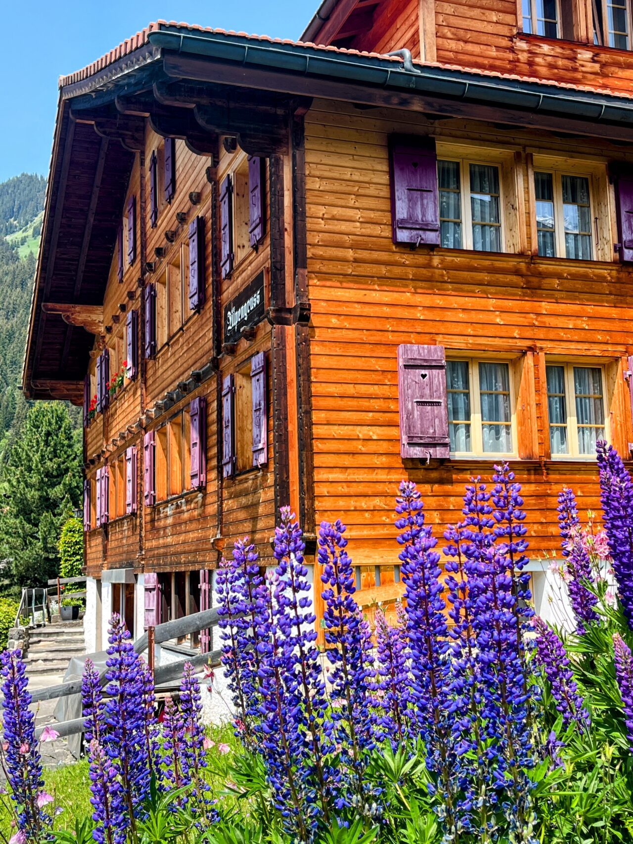 wanderung_via_alpina_grindelwald_lauterbrunnen_