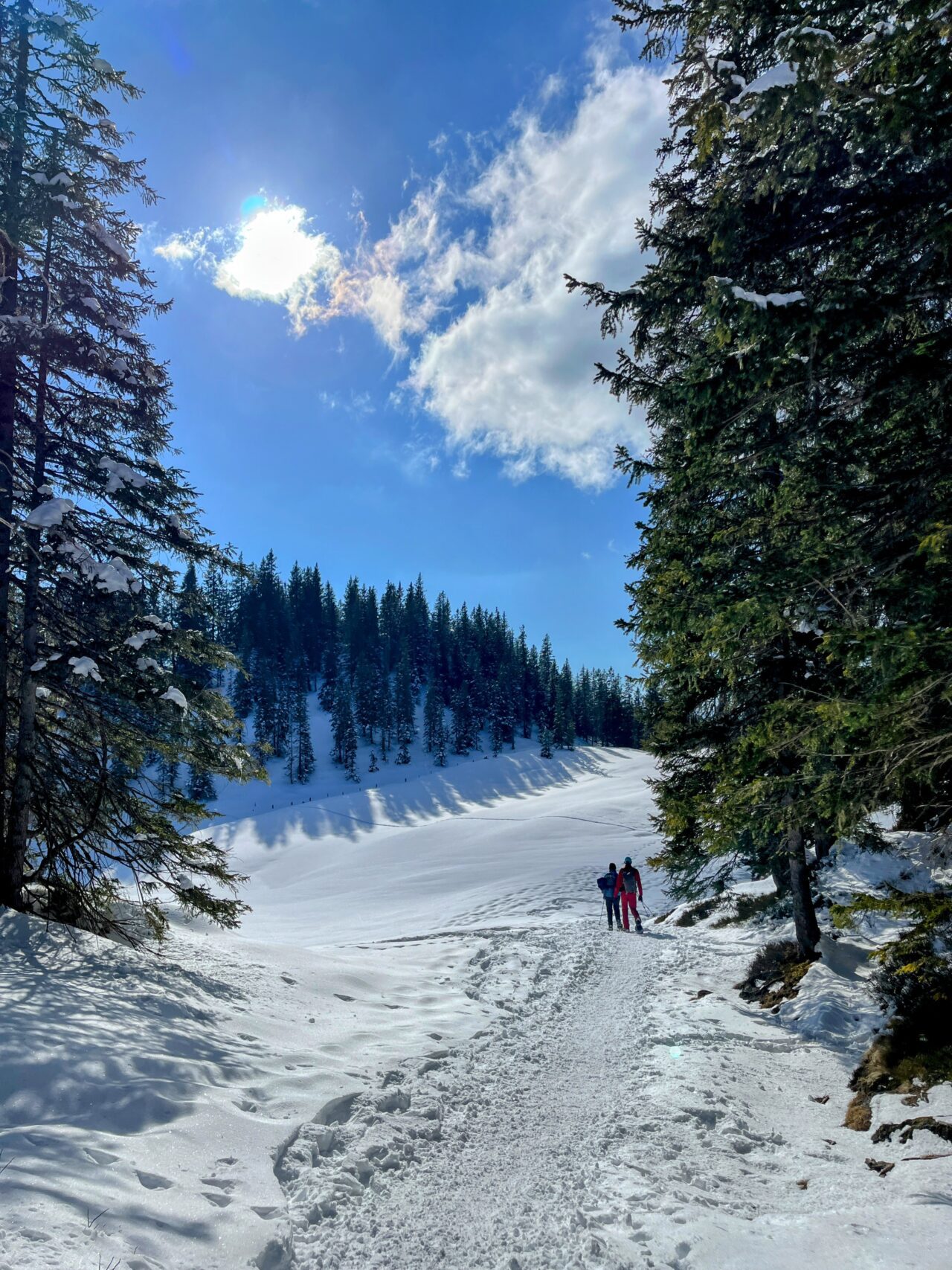 schneeschuhwandern-jaenzi-_IMG_9578 (Kopie)