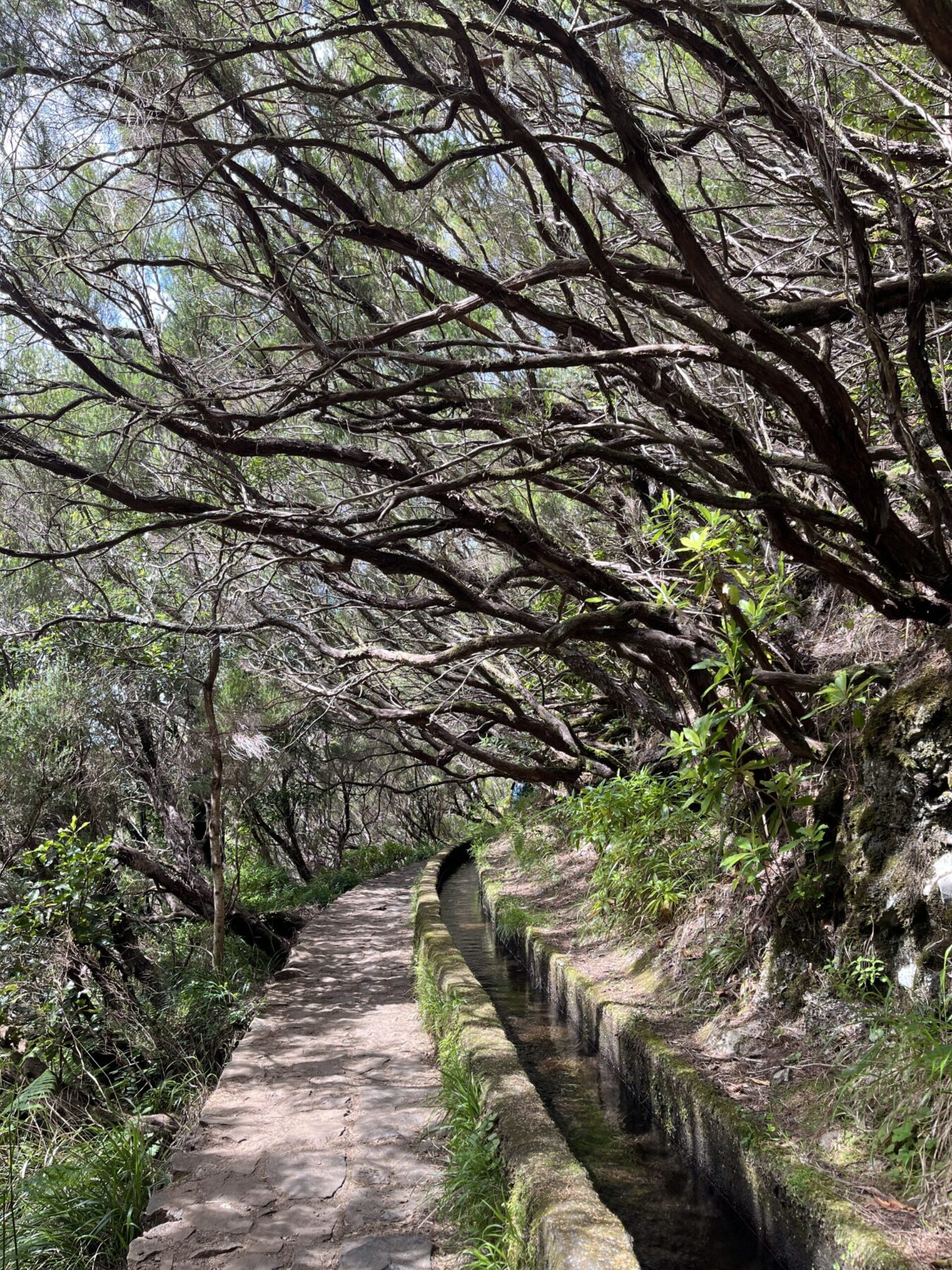 wanderung_wanderung_25_fontes_risco_