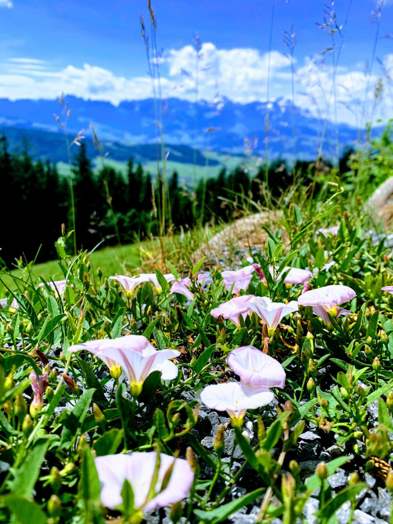 wanderung_gaebris_