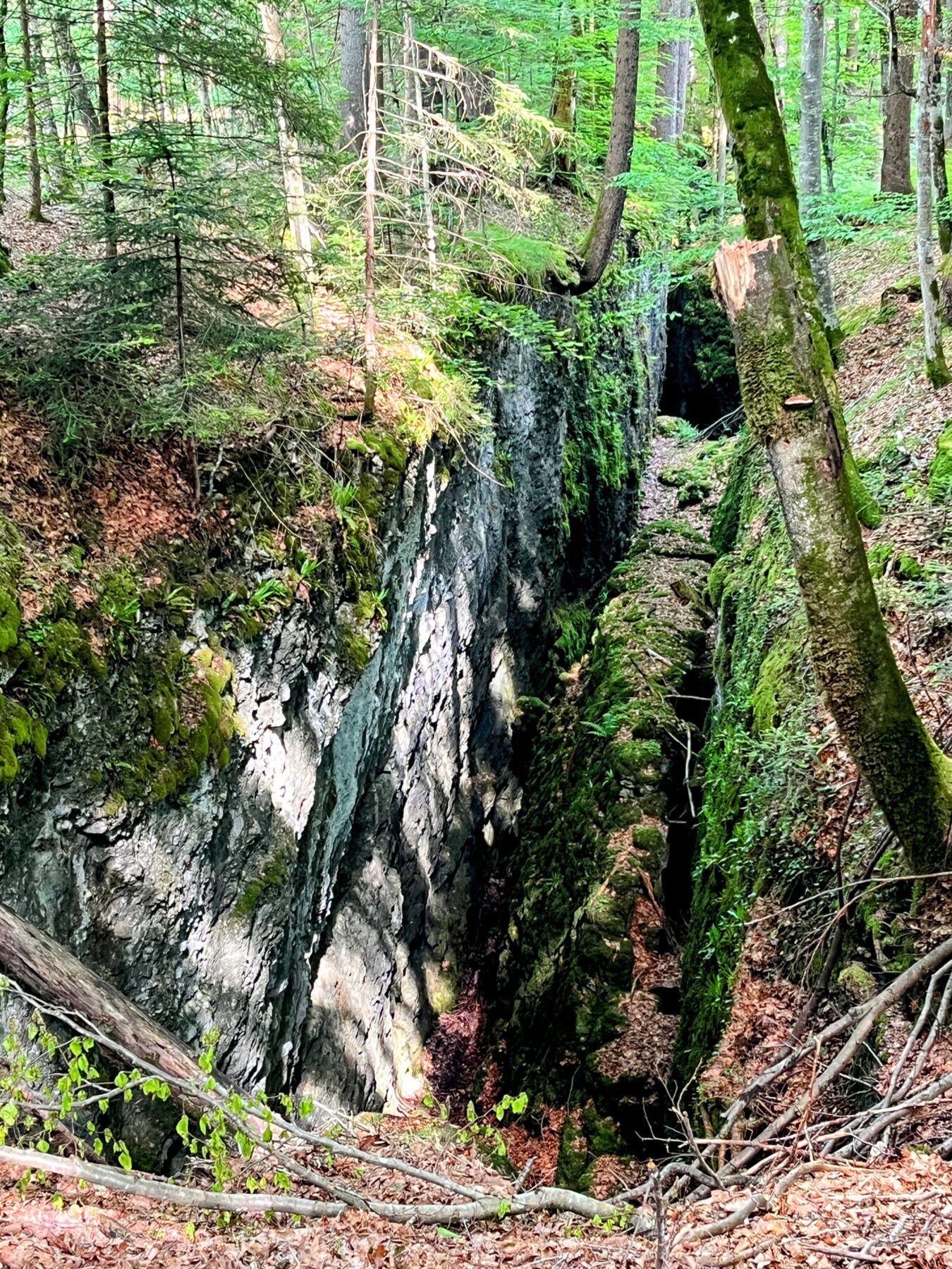 wanderung_bürser_schlucht_