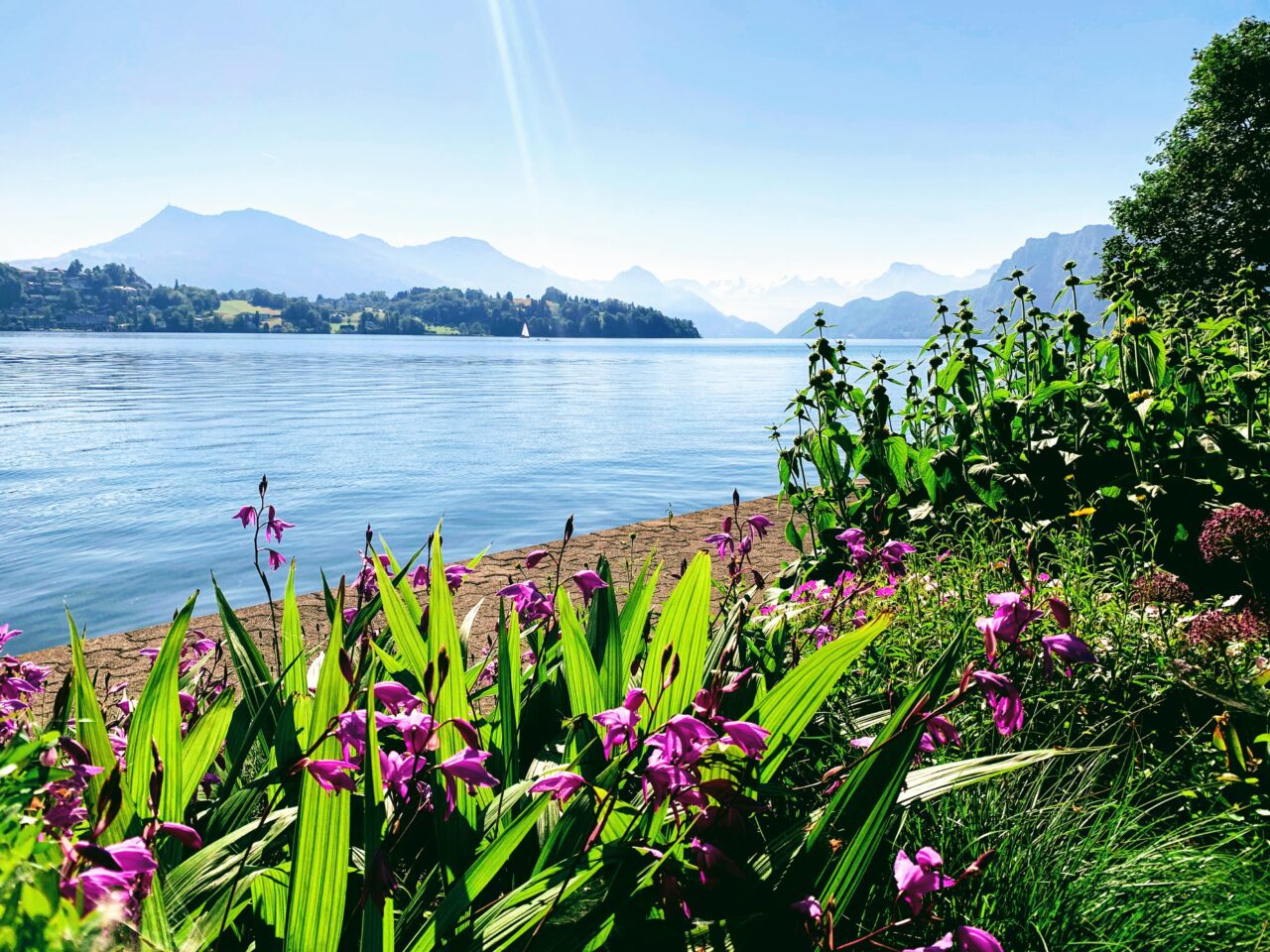 wanderung_vierwaldstaettersee_luzern_alpnachstad_