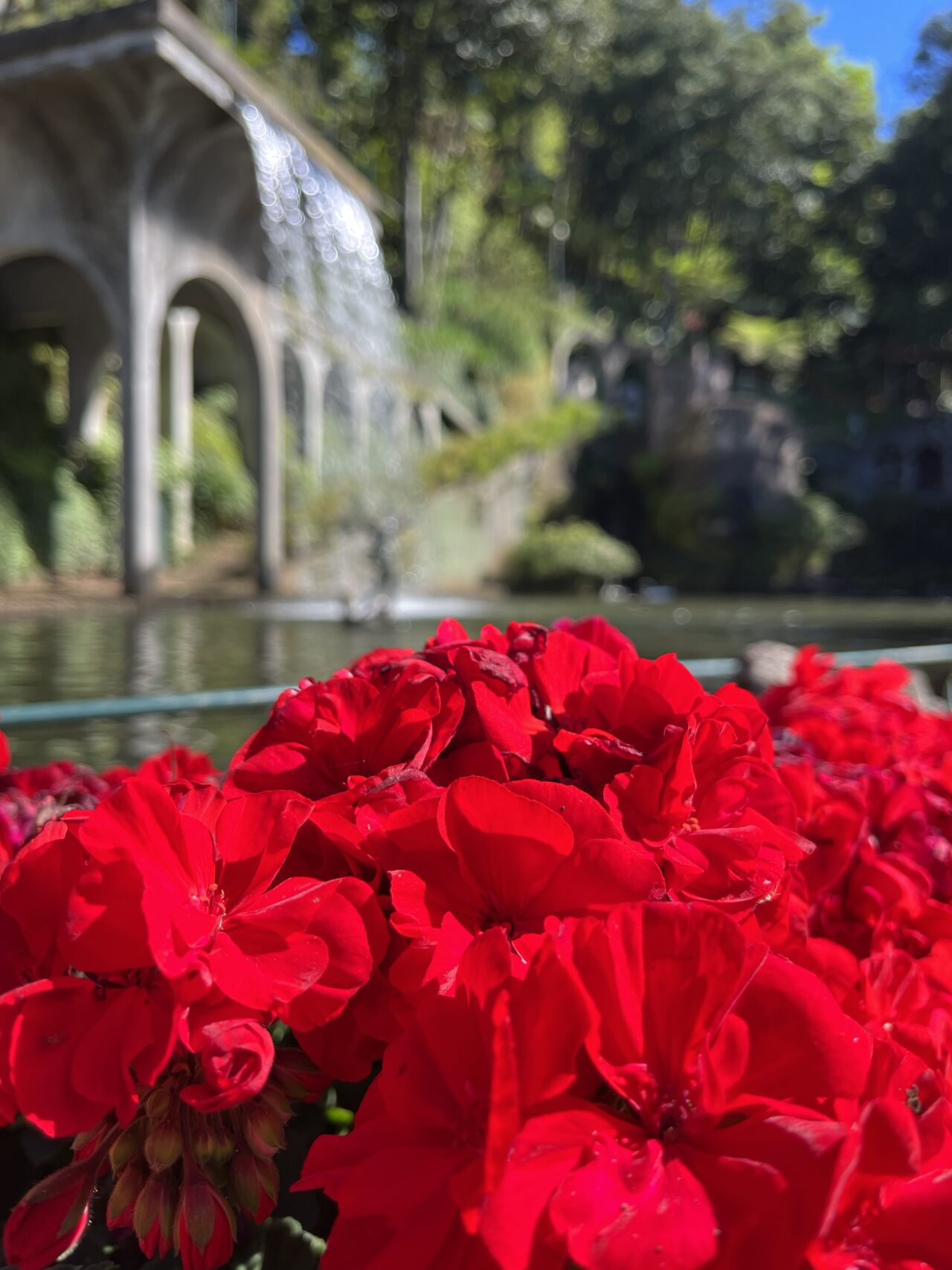 wanderung_monte_botanischer_garten_funchal_
