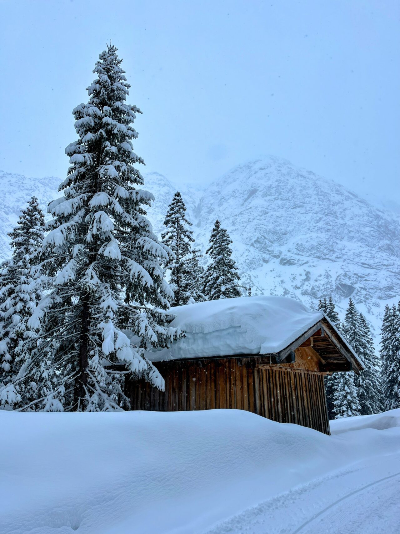 winterwanderung_lech_zug_vorderes_aelpele__IMG_4522