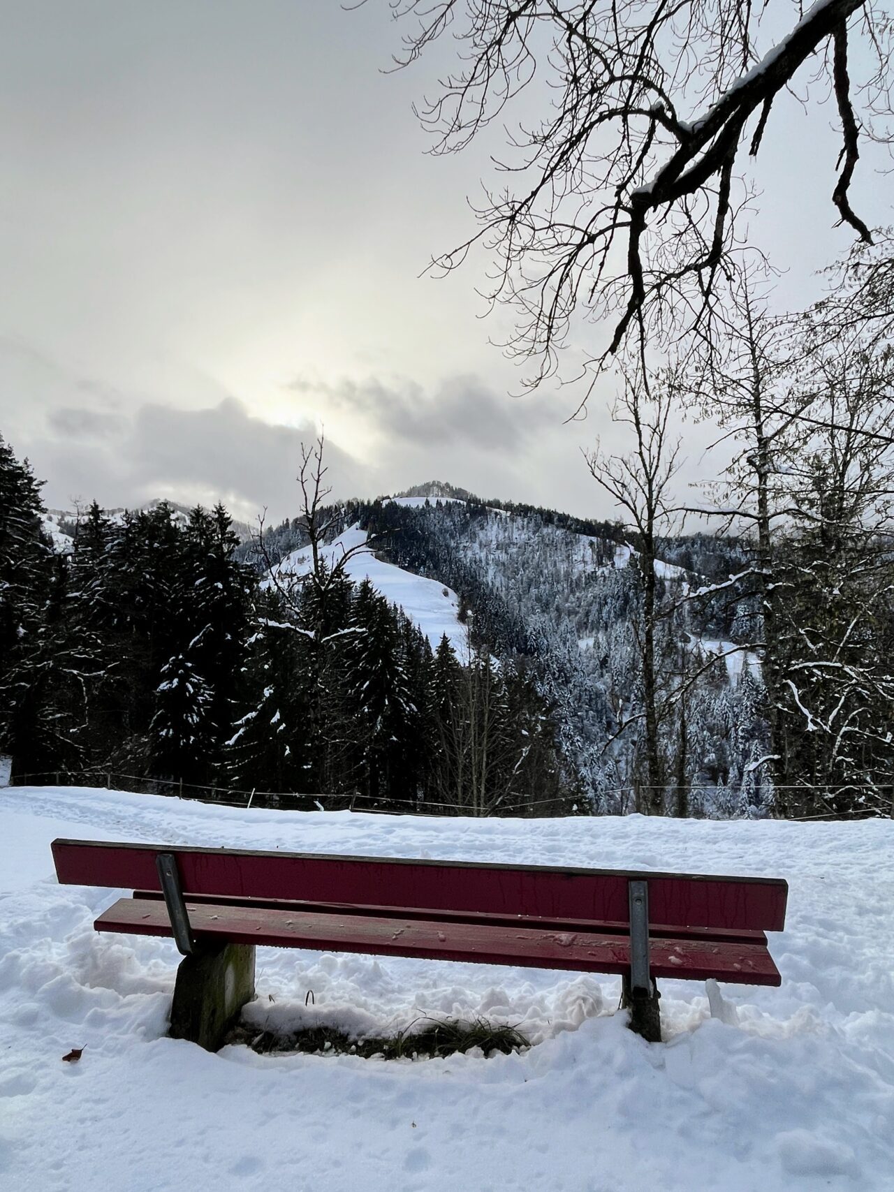 schneeschuhwanderung_schnebelhorn__IMG_2441