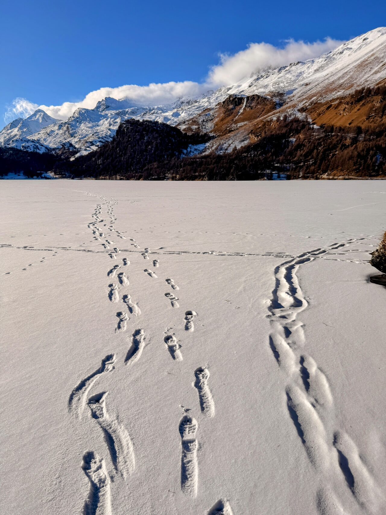 wanderung_silsersee_schwarzeis__IMG_9096