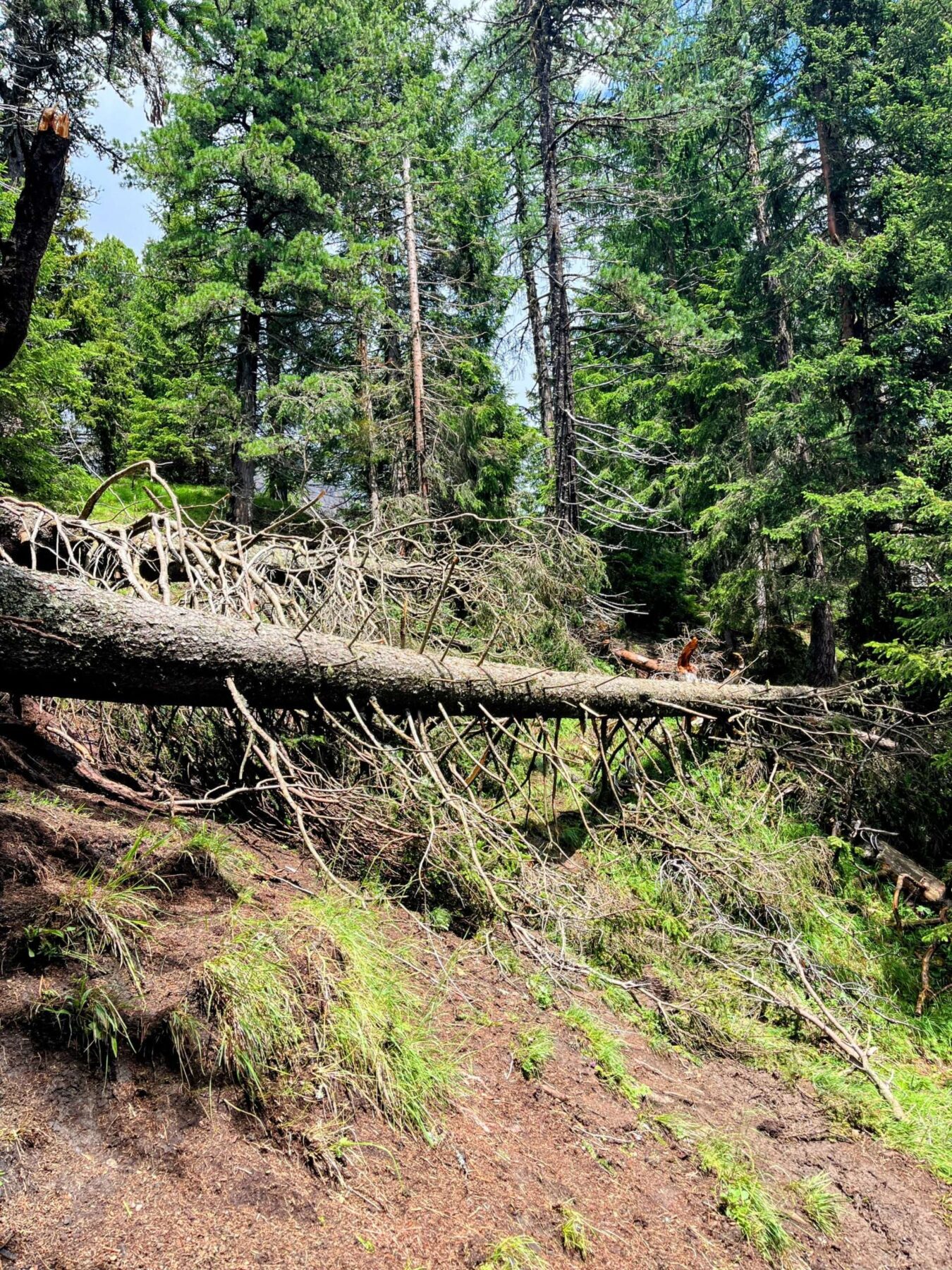 wanderung_dolomiten_hoehenweg_1_etappe_4_rifugio_lagazuoi_rifugio_cinque_torri_