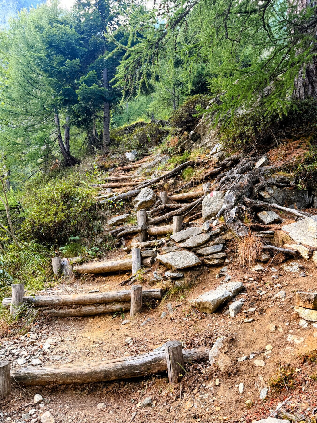 wanderung_sentiero_alpino_bregaglia_sciorahuette_sasc_furae_huette__IMG_0508