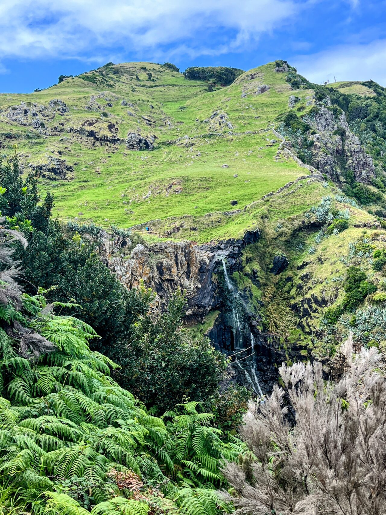 wanderung_ilha_a_pe_tag_2_malbusca_lapa_IMG_