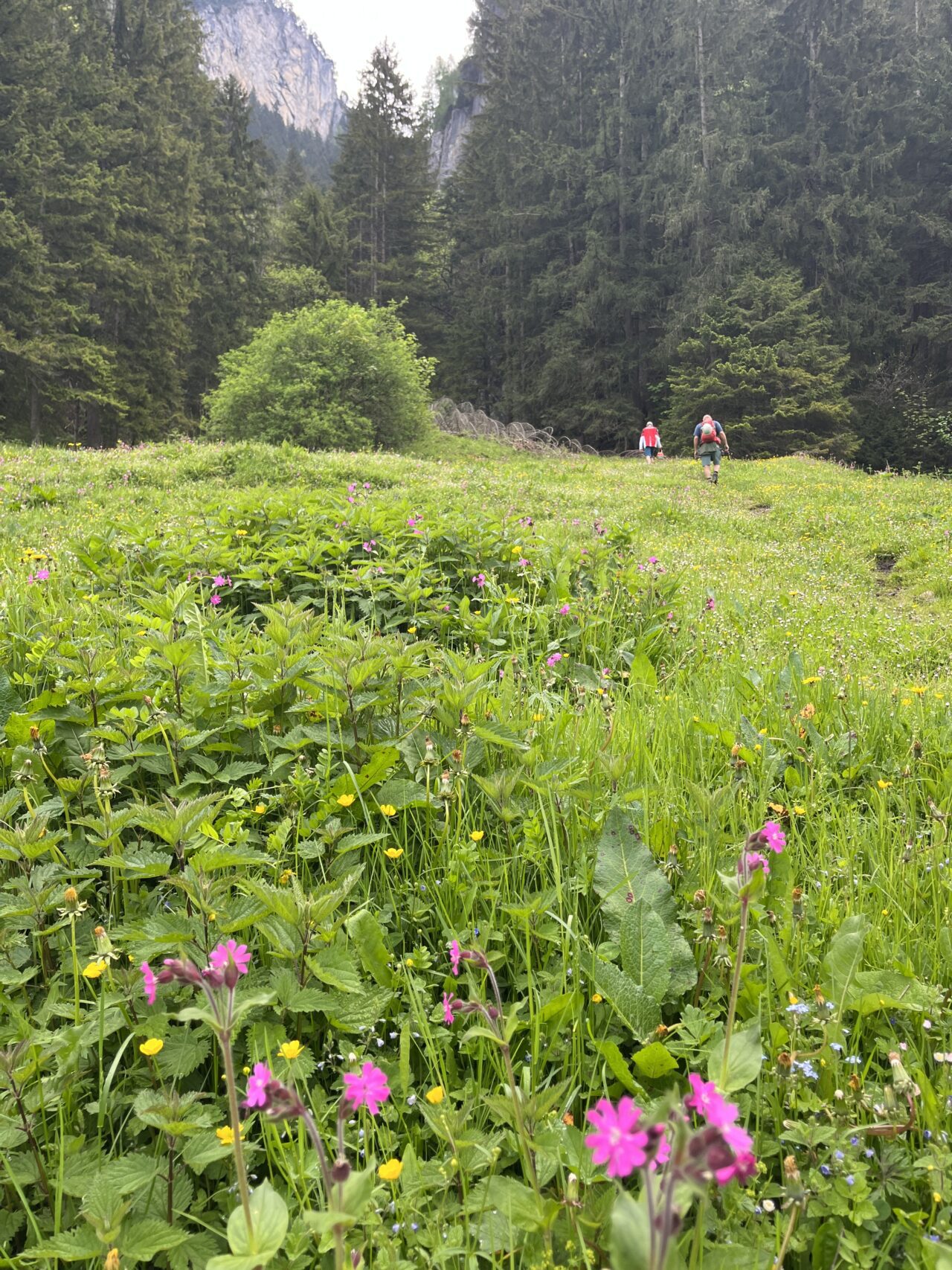 klettersteig_kellenegg_