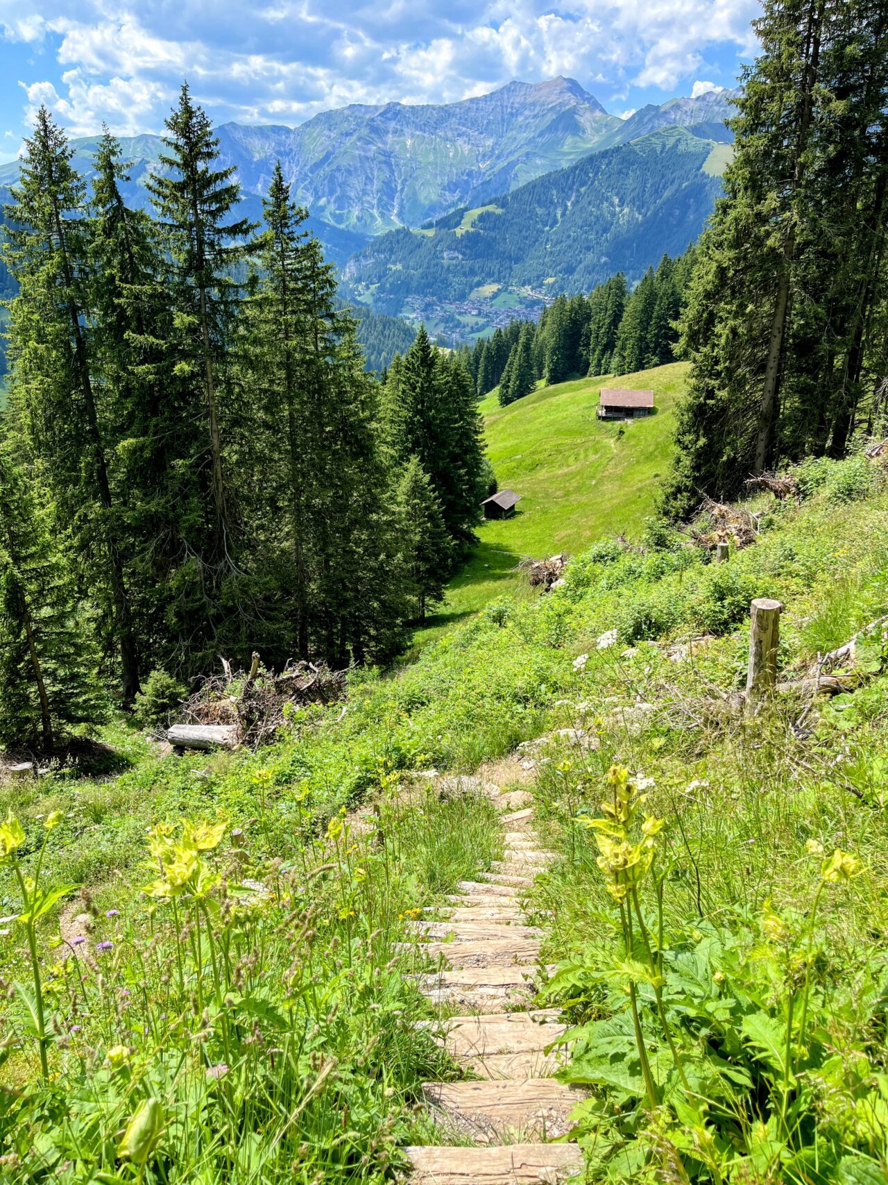 wanderung_via_alpina_etappe_14_kandersteg_adelboden_