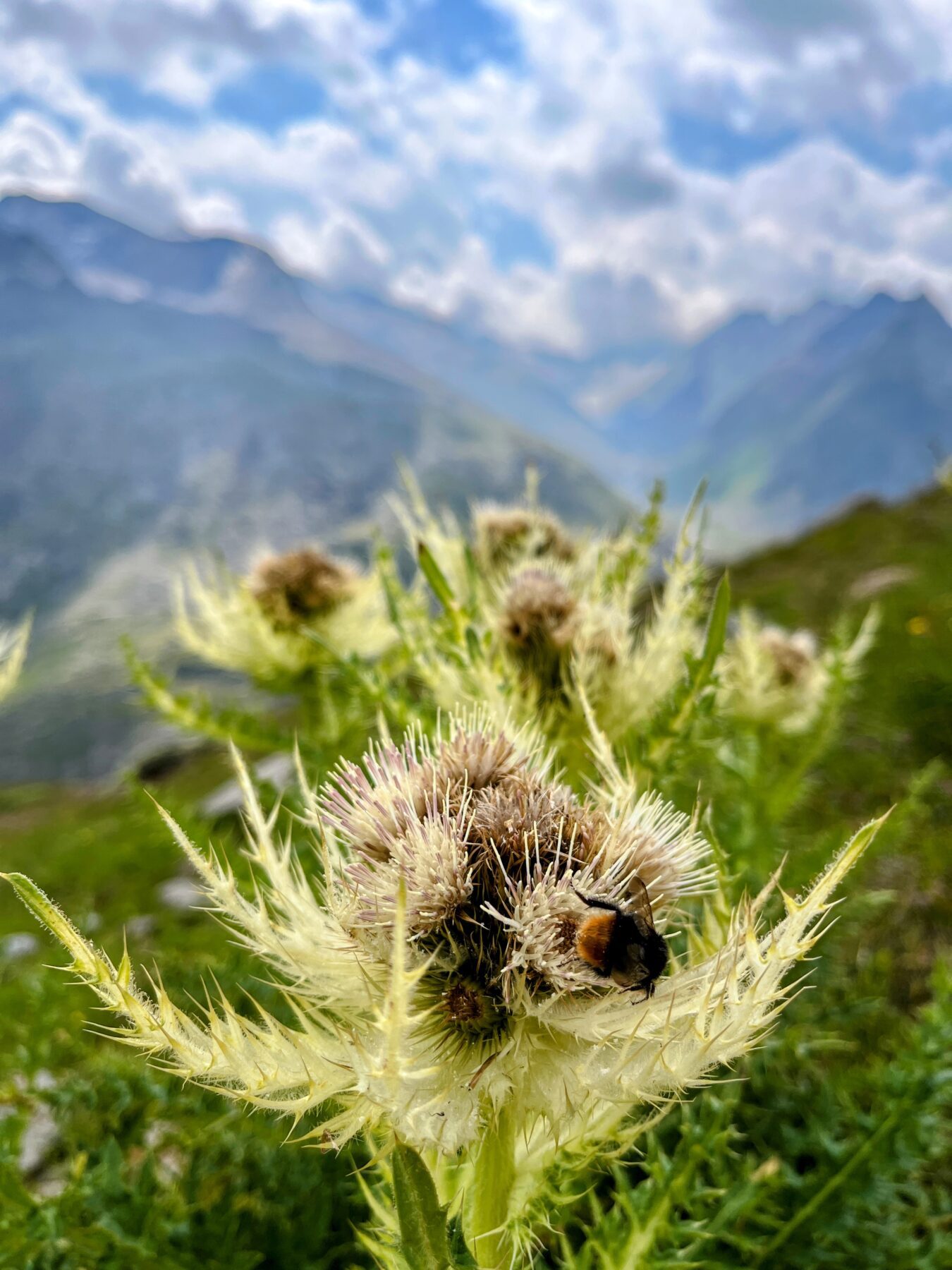 wanderung_ramolhaus_