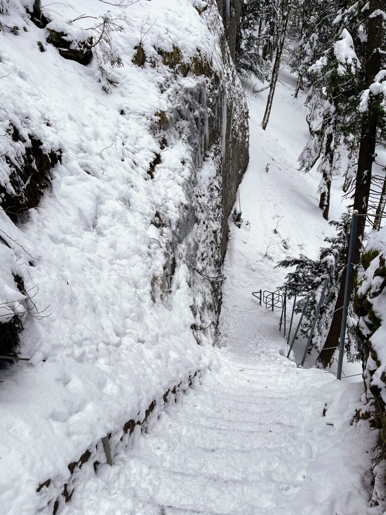 schneeschuhwanderung_atzmaennig_chruezegg_
