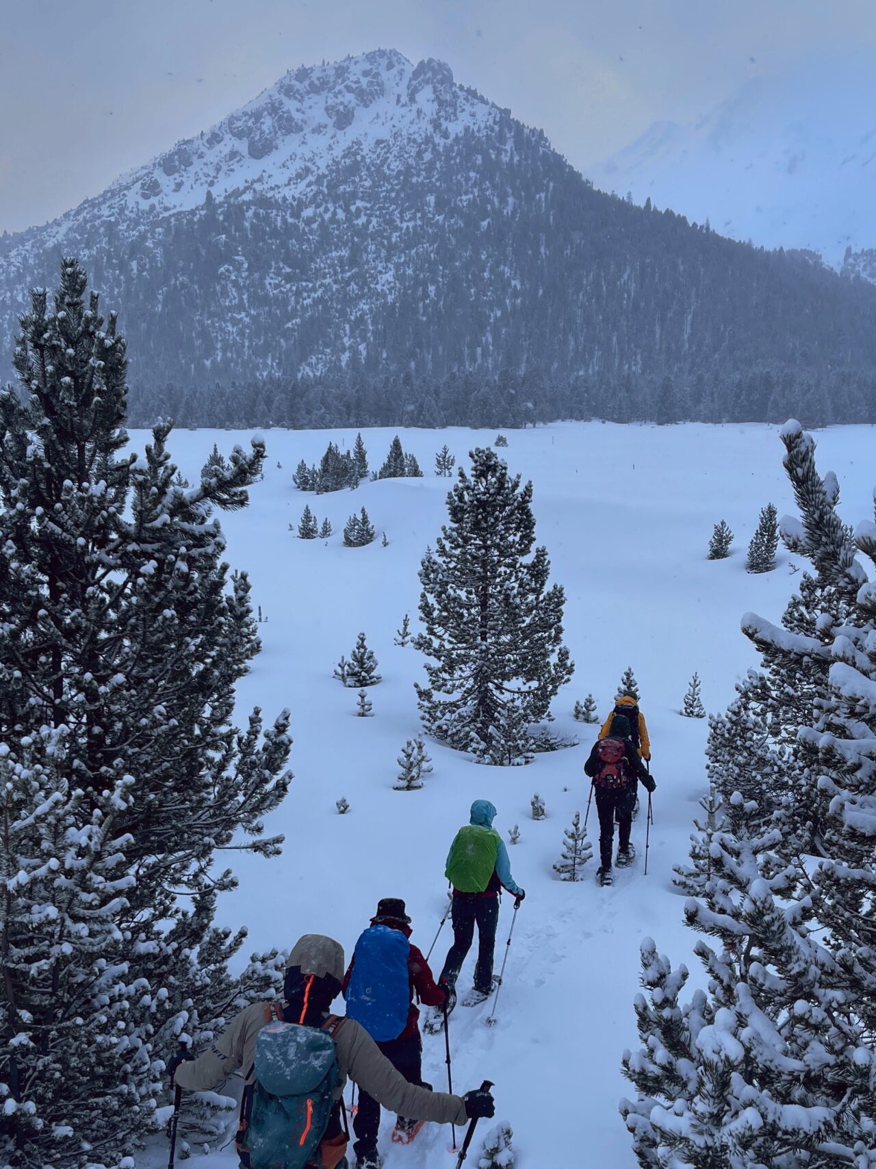 schneeschuhtour_buffalora_