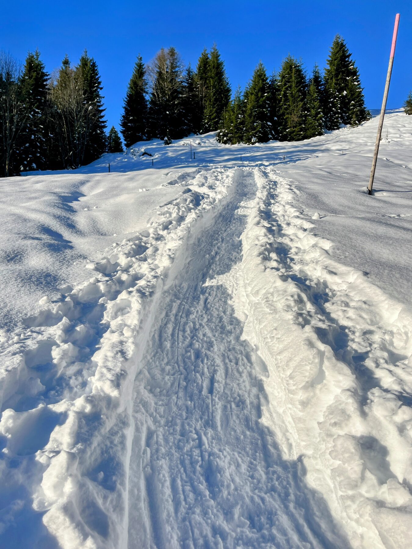 schneeschuhwanderung_oberiberg_furggelenstock__IMG_2767