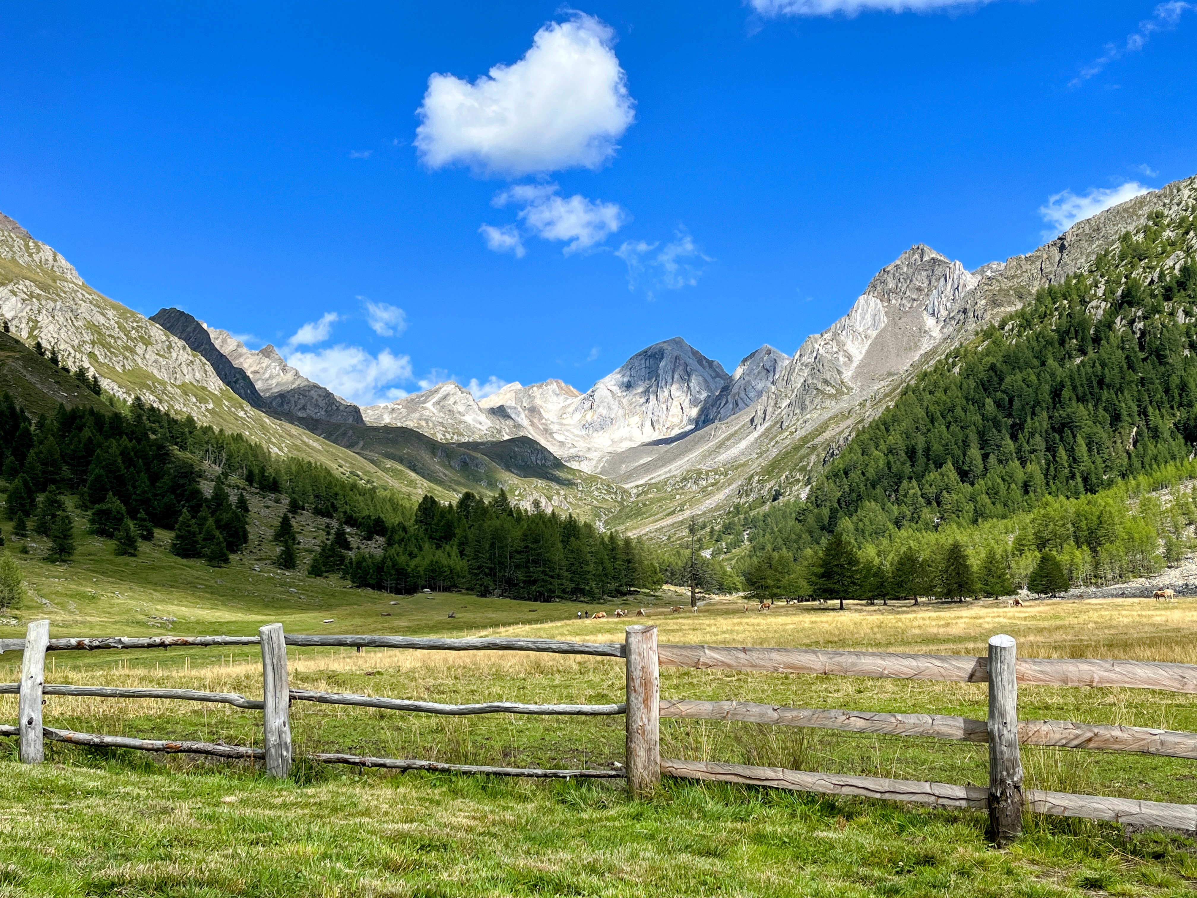 wanderung-meraner-hoehenweg-montferthof-eishof-