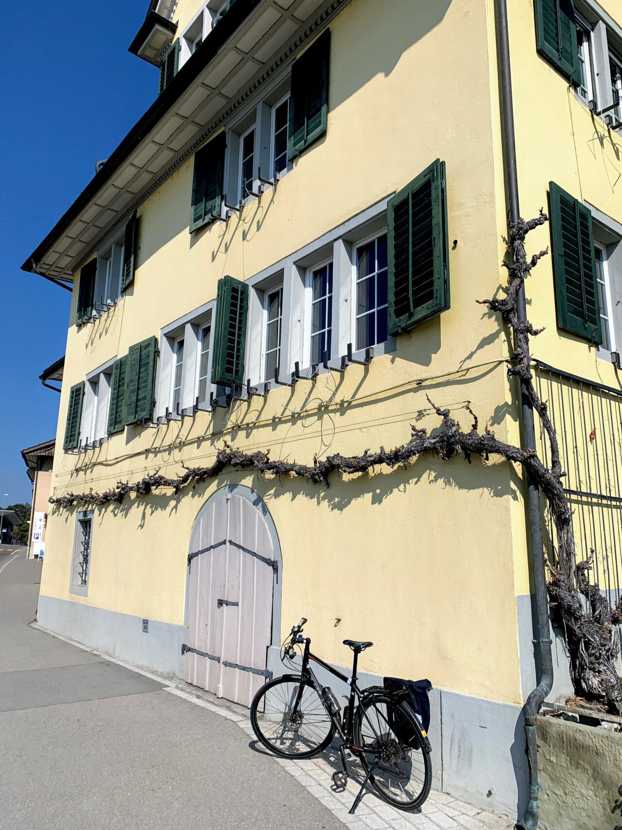 velotour_goldkueste_baden__IMG_7353