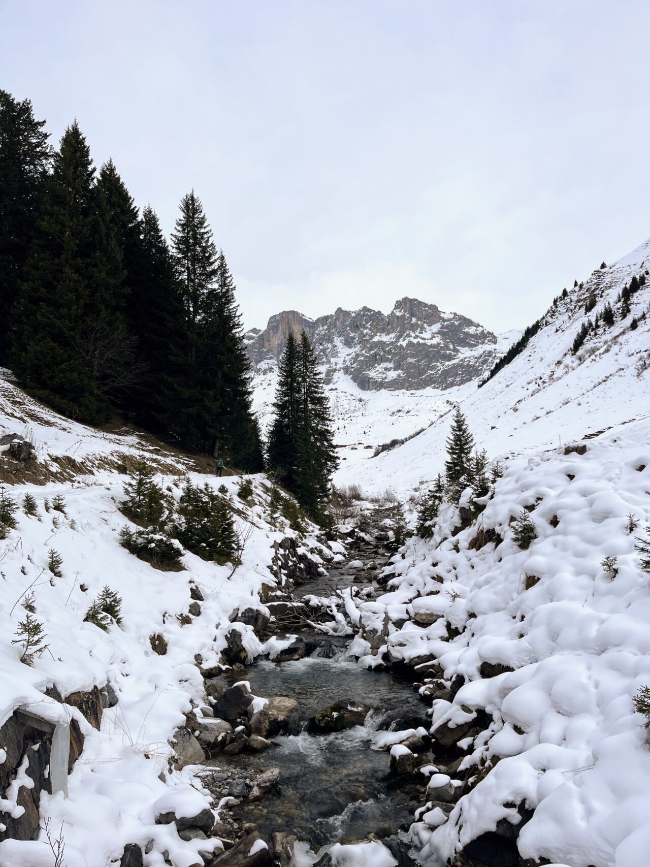 schneeschuhwandern-carschinahuette-_IMG_8050