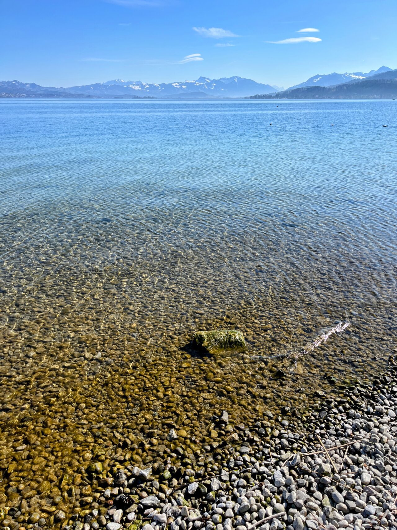 umrundung_zuerichsee_horgen_richterswil_