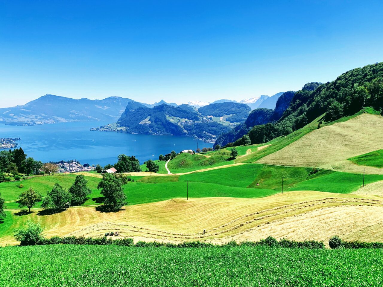 wanderung_vierwaldstaettersee_luzern_alpnachstad_