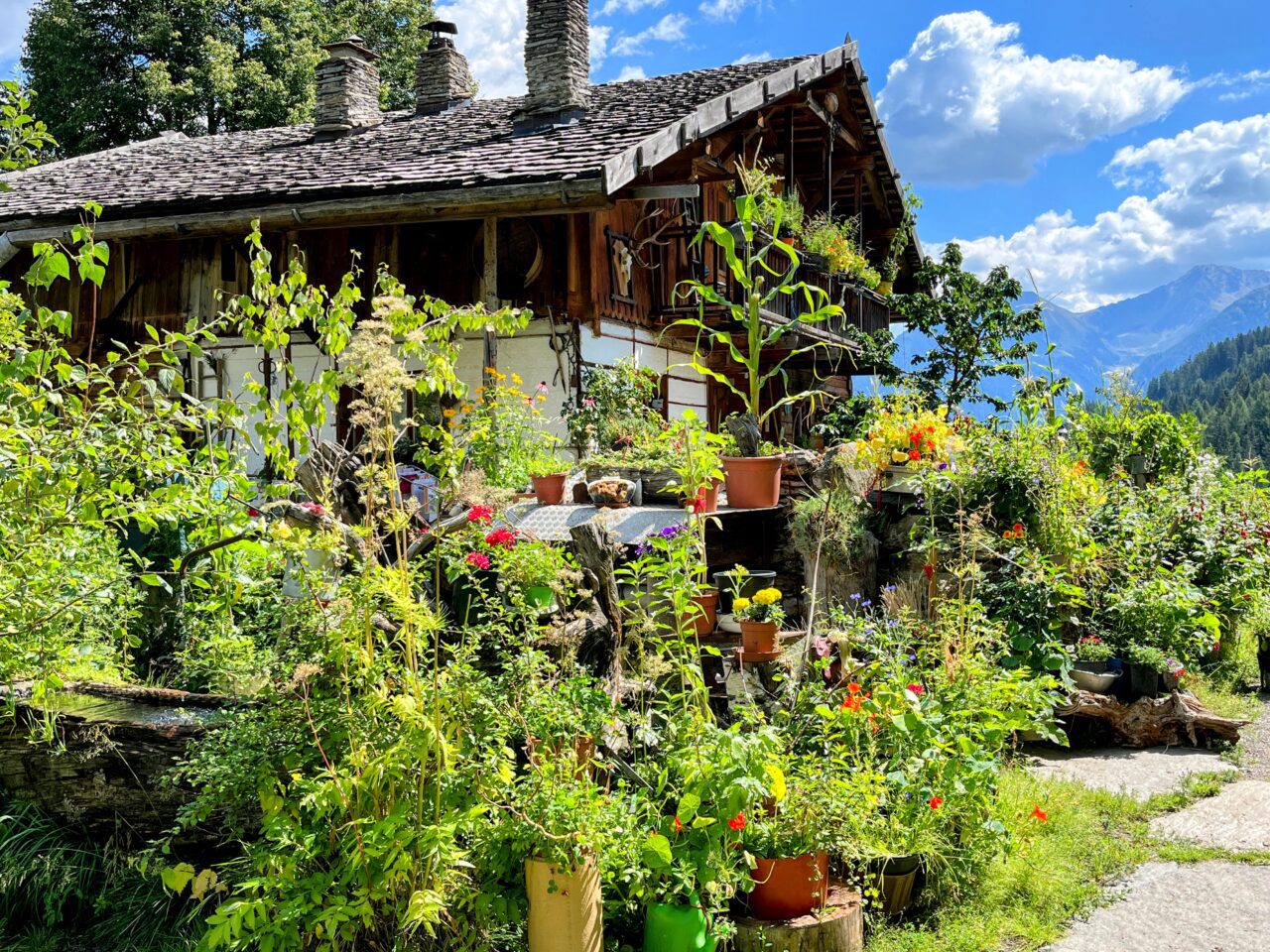 wanderung-meraner-hoehenweg-Pfelders-St-Martin-in-Passeier-