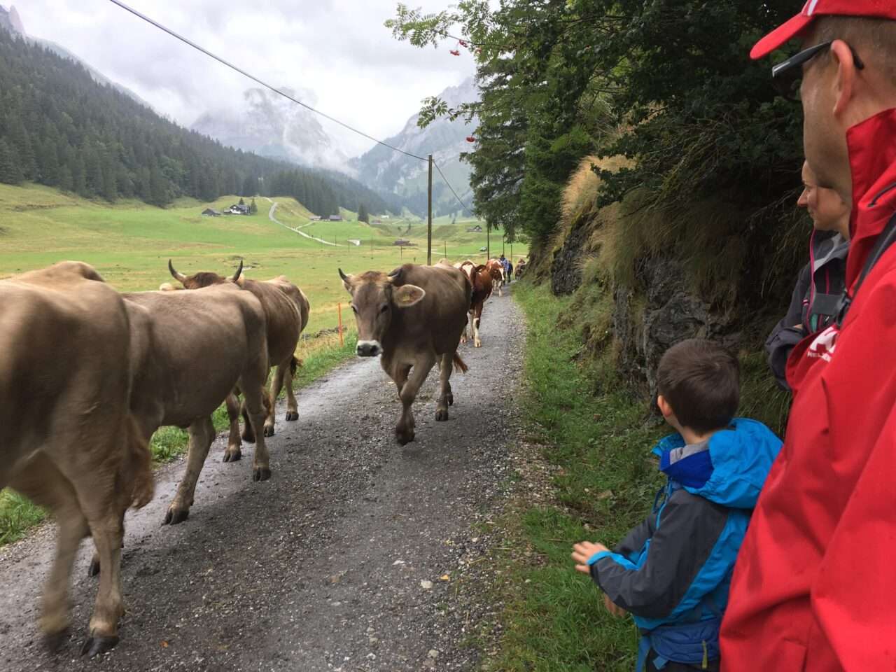 wanderung_hundsteinhuette_