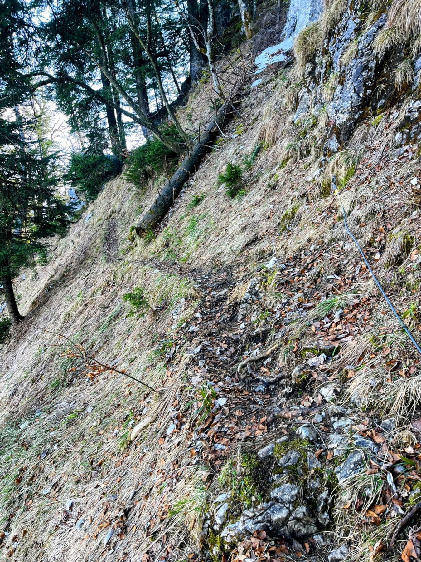 wanderung_vitznau_gersauerstock_vitznauerstock_