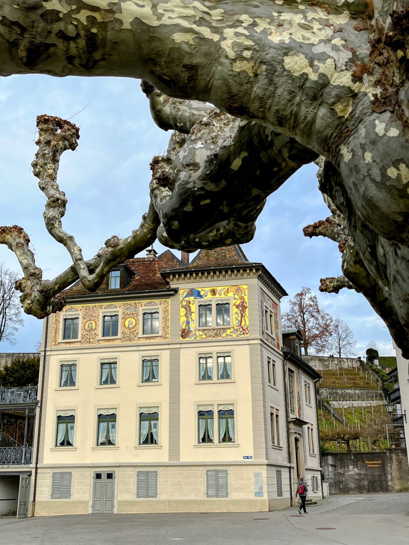 wanderung_pfaeffikon_rapperswil_