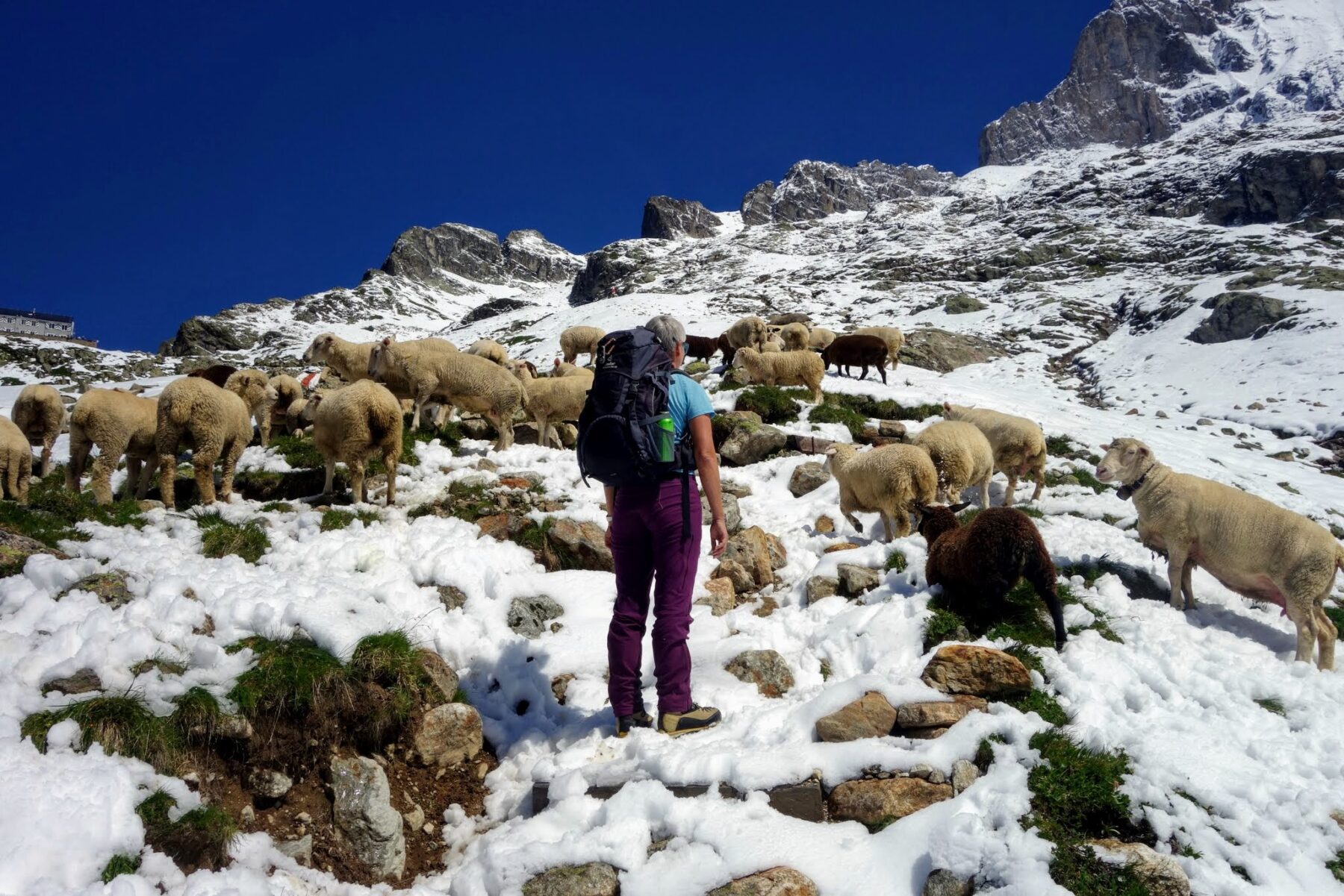 Wanderung_zur_Glecksteinhuette_
