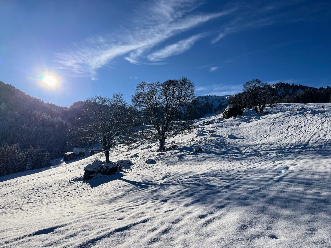 schneeschuhtour_laucherenstoeckli_ibergeregg_brunni__IMG_5739