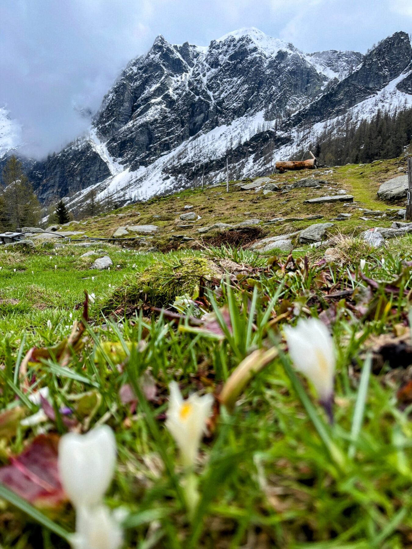 wanderung_someo_capanna_alzasca_