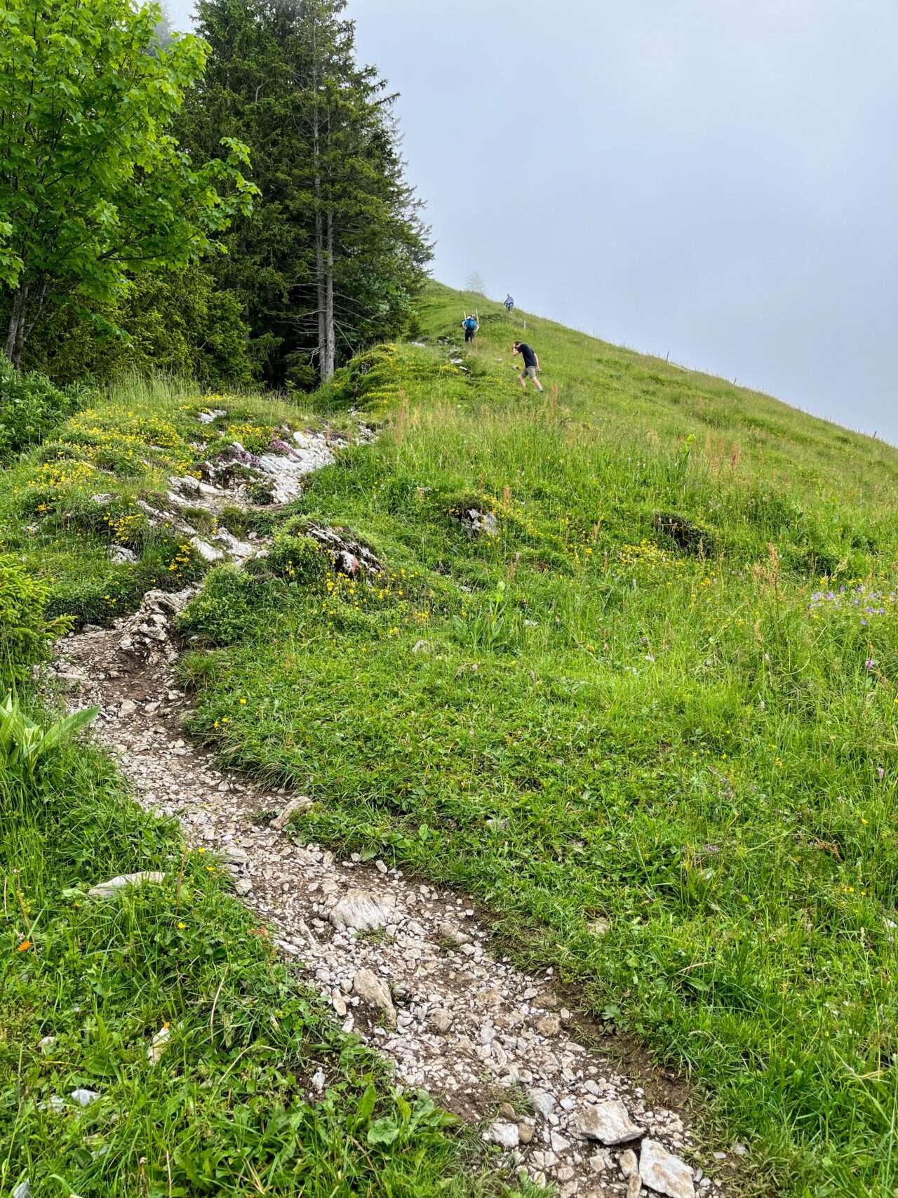 wanderung_buochserhorn_